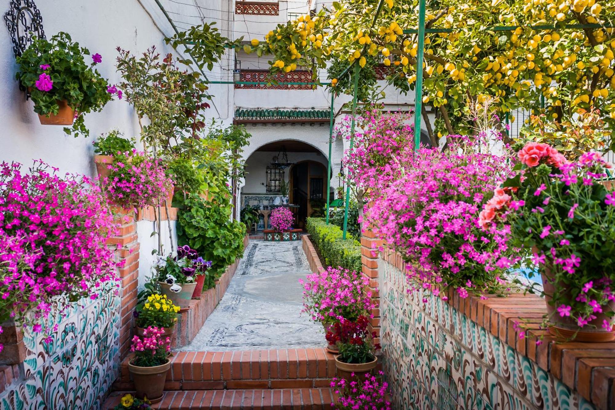 Apartament Grazaries -Piso Centrico Granada- Zewnętrze zdjęcie